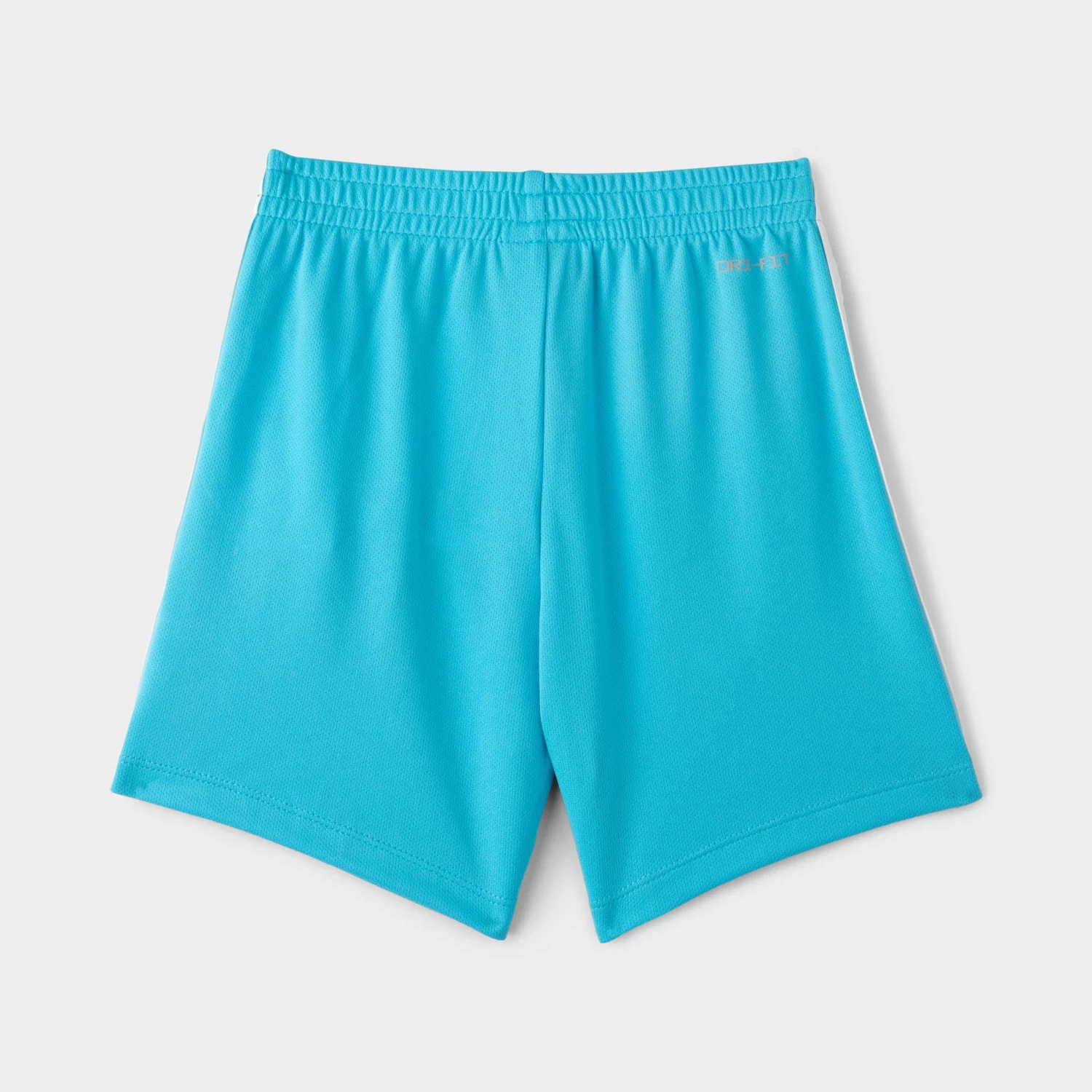 Nike Child Boys' All Day Play Dri-FIT Shorts / Baltic Blue - Image 2