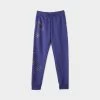 Jordan Junior Boys' MJ Flight MVP Fleece Pants / Sky Purple