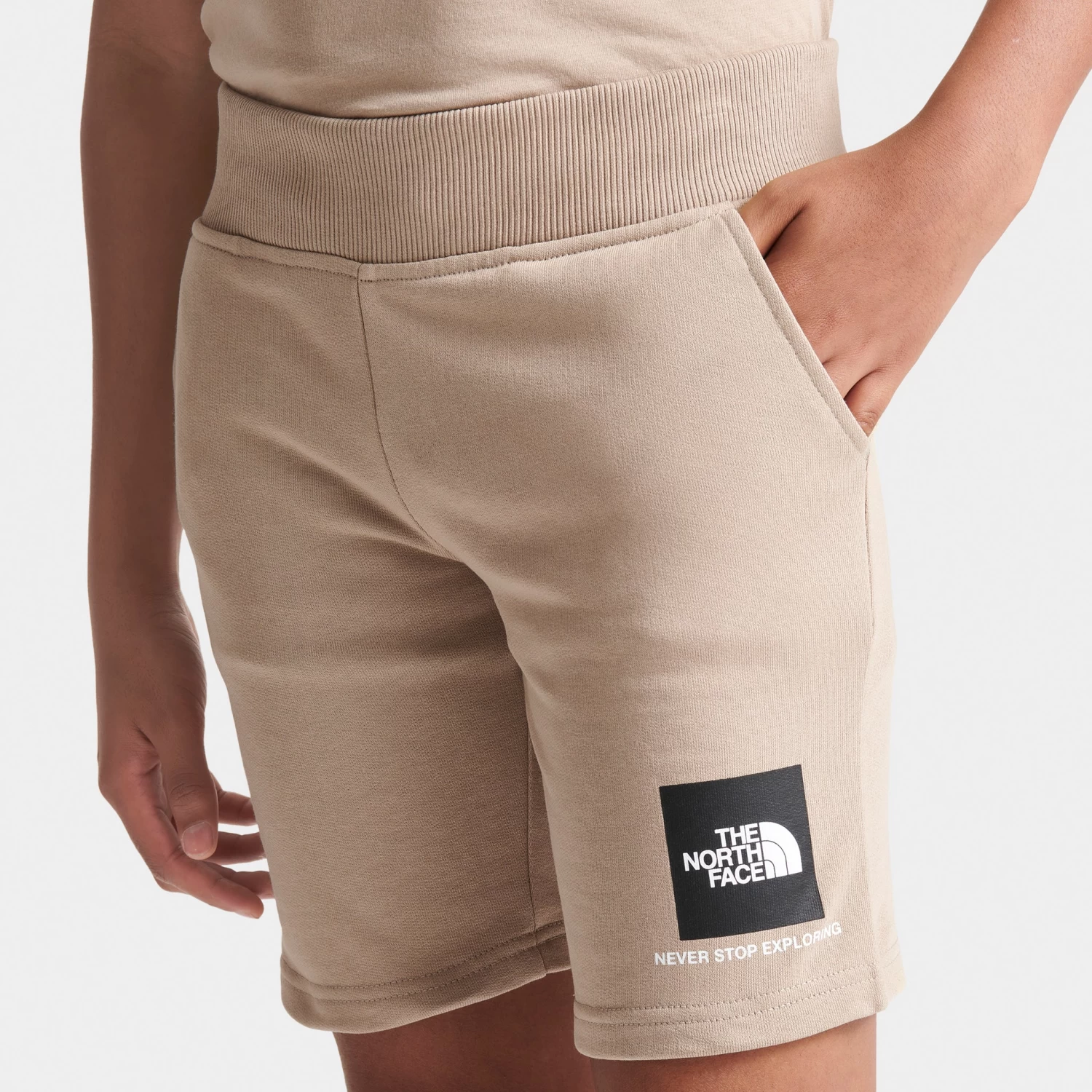 The North Face Junior Boys' Small Box Shorts / Flax - Image 4